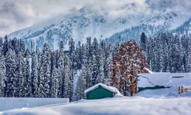 Arana Taj Tour  Kashmir  Tour Package