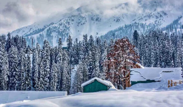 Arana Taj Tour  Kashmir  Tour Package